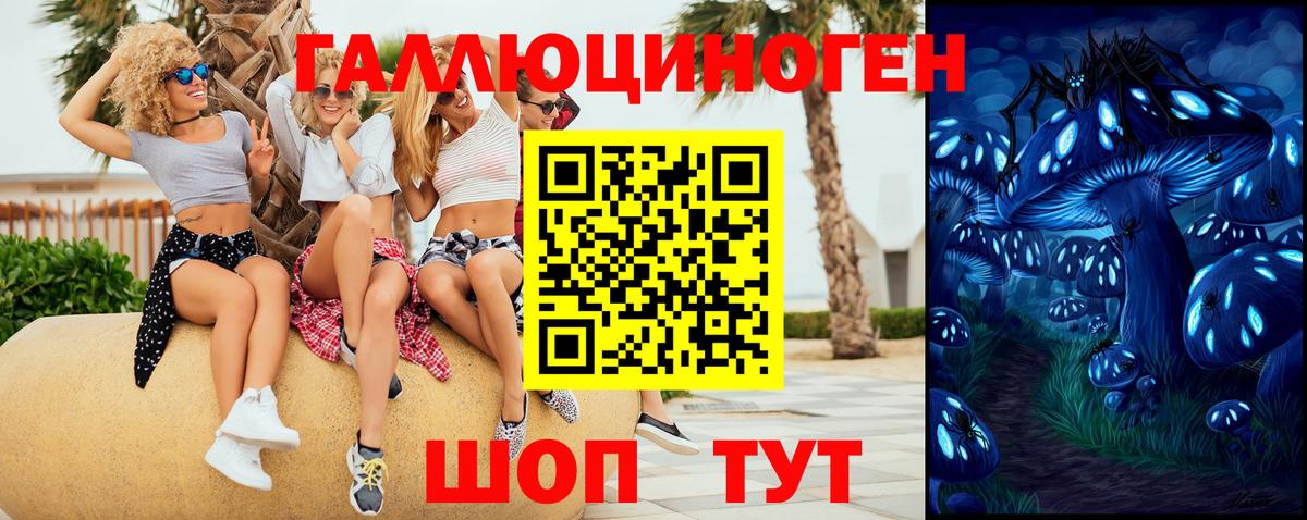 Ульяновск  Псилоцибиновые грибы Cubensis  купить   Вход с VPN 